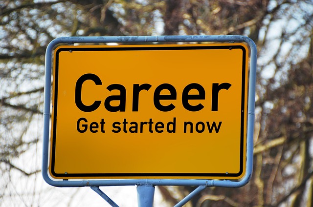 career development education with professional reviewing strategy documents and growth plan